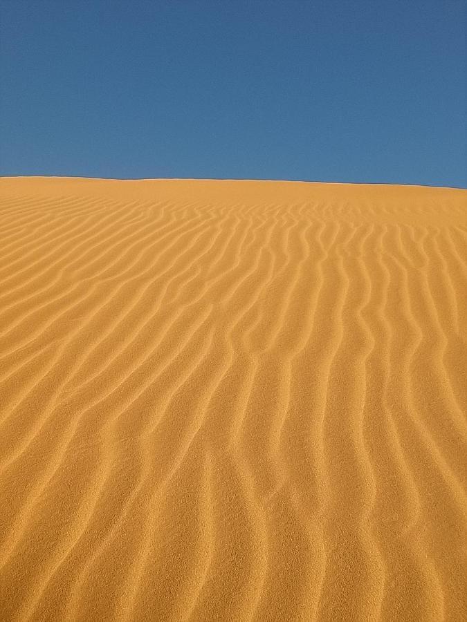 Hotel Sahara Peace Camp Zagora Esterno foto