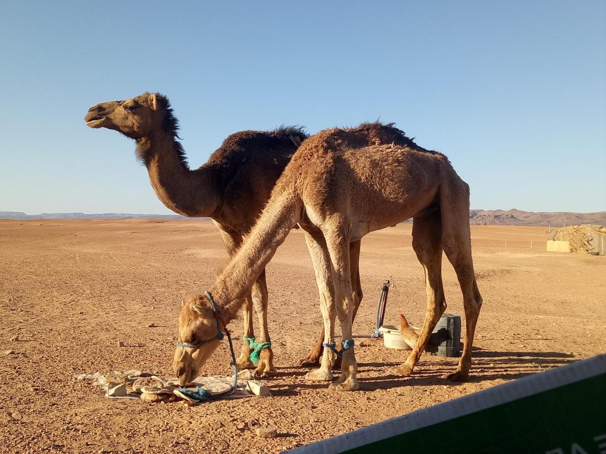 Hotel Sahara Peace Camp Zagora Esterno foto