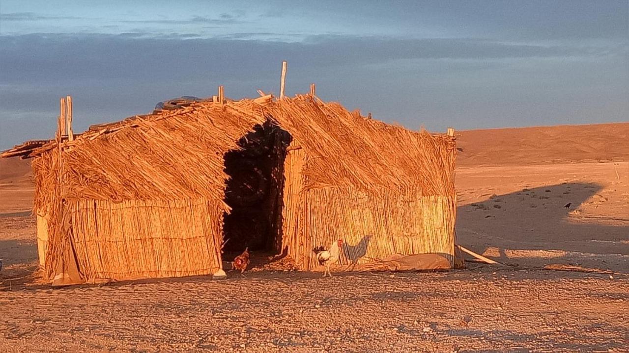 Hotel Sahara Peace Camp Zagora Esterno foto